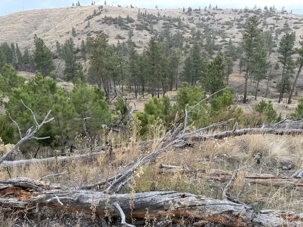 Tbd Brumfield Road Brumfield Reed Point MT 59069