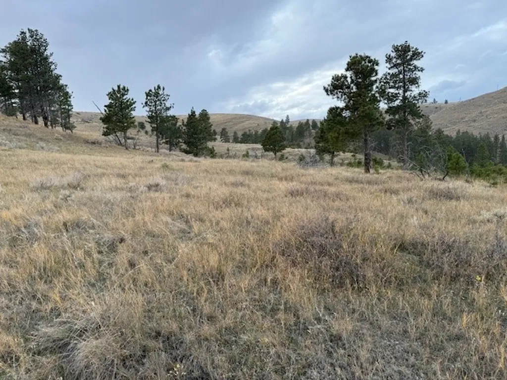 Tbd Brumfield Road Brumfield Reed Point MT 59069