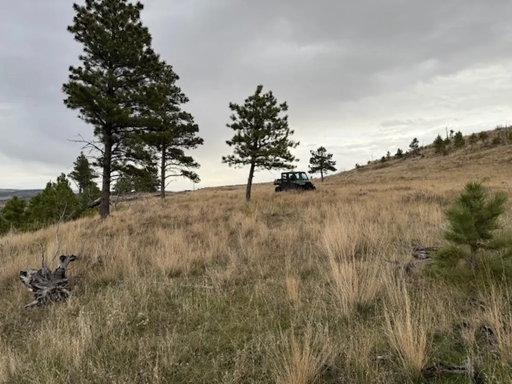 Tbd Brumfield Road Brumfield Reed Point MT 59069