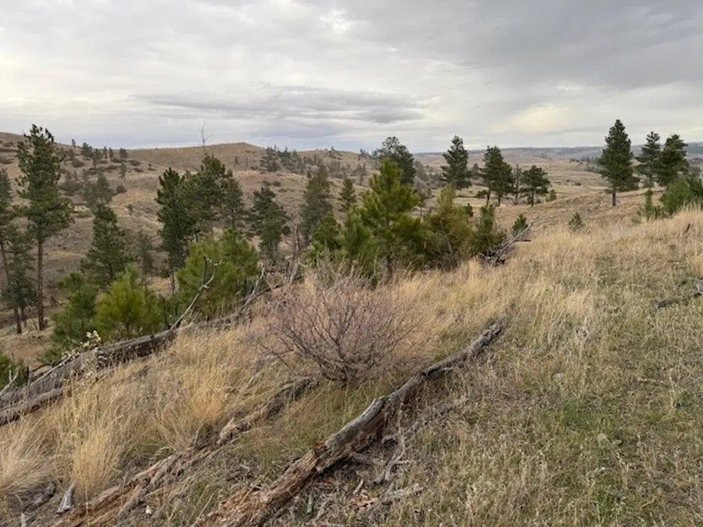 Tbd Brumfield Road Brumfield Reed Point MT 59069