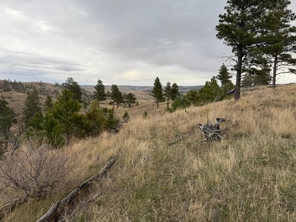 Tbd Brumfield Road Brumfield Reed Point MT 59069