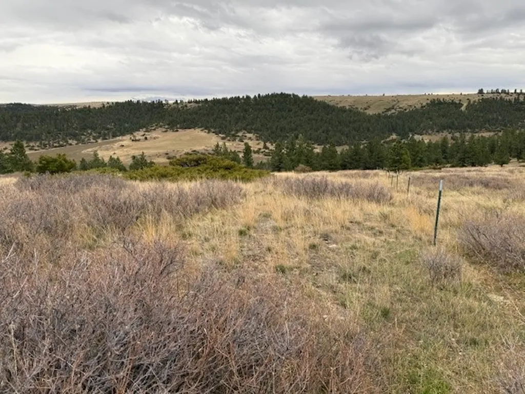 Tbd Brumfield Road Brumfield Reed Point MT 59069