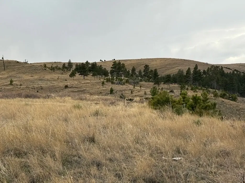 Tbd Brumfield Road Brumfield Reed Point MT 59069
