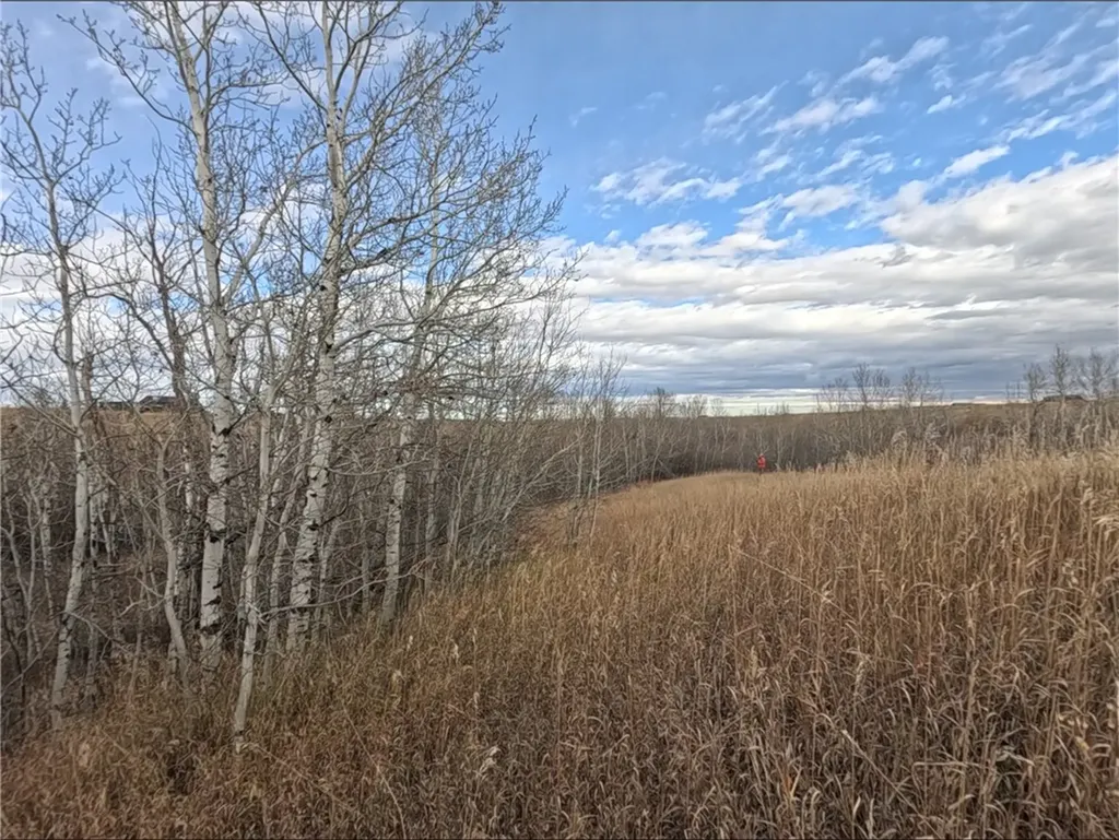 Nhn Mt-78 Red Lodge MT 59068