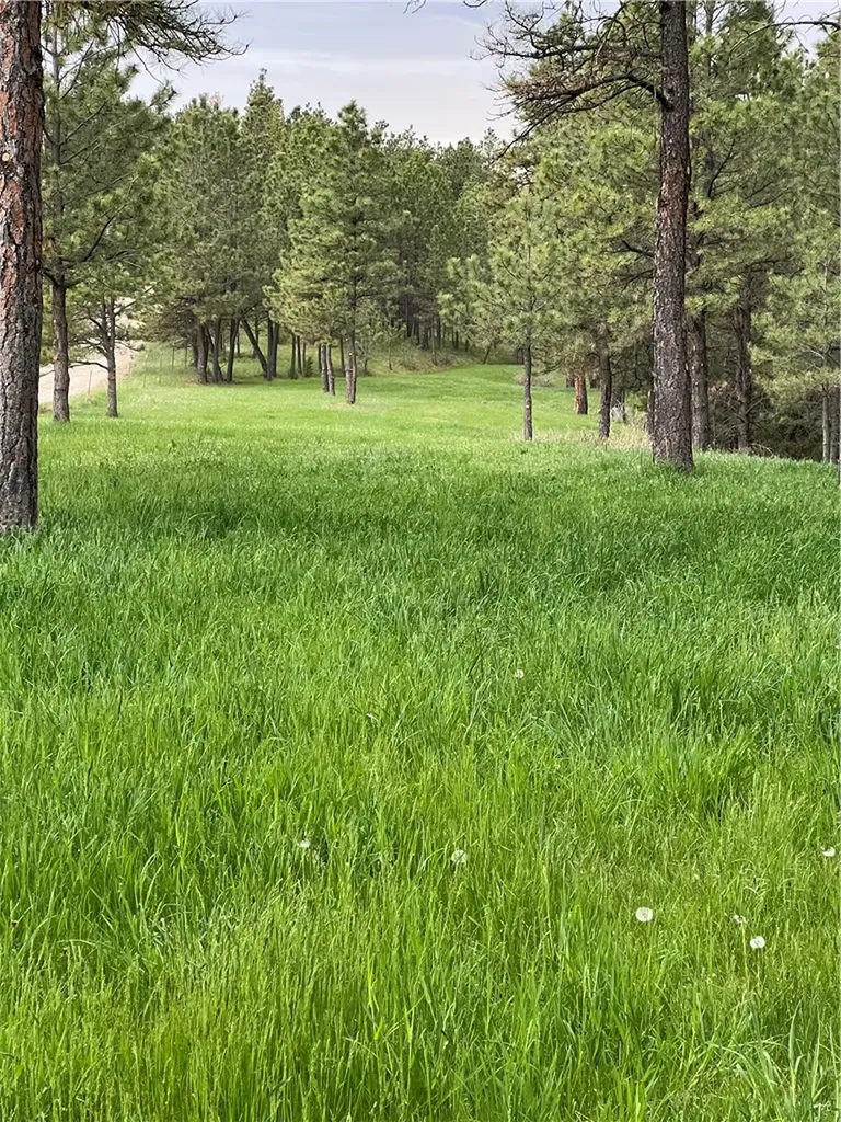 101 Smith Road Roundup MT 59072