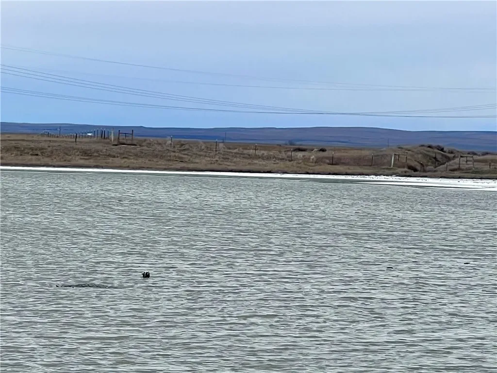 7069 Mainwaring Acton MT 59002