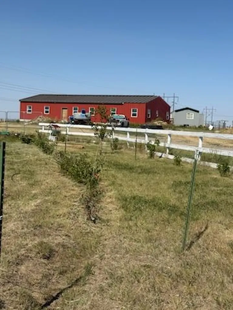 7069 Mainwaring Acton MT 59002