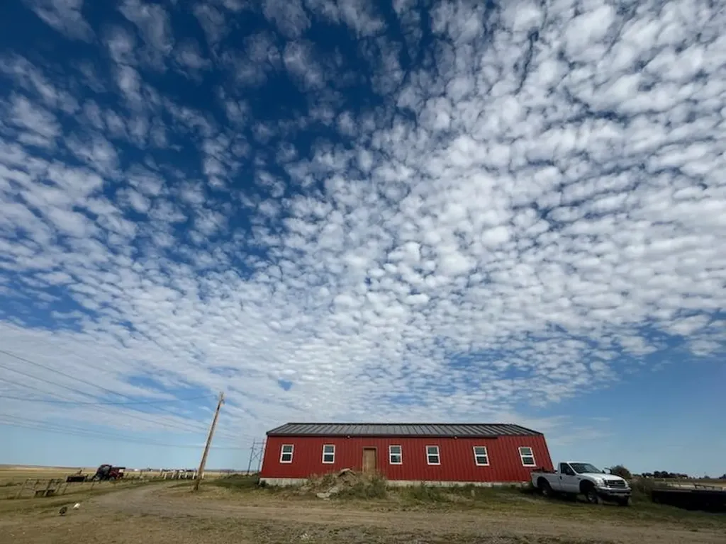 7069 Mainwaring Acton MT 59002