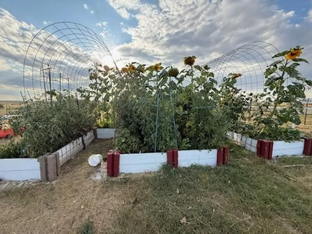 7069 Mainwaring Acton MT 59002