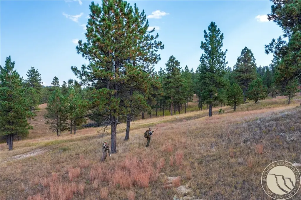 1245 Sarpy Creek Road Hysham MT 59038