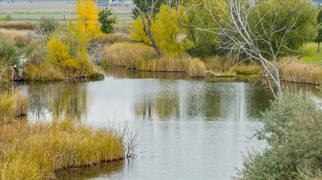 10052 Floating Island Way Shepherd MT 59079