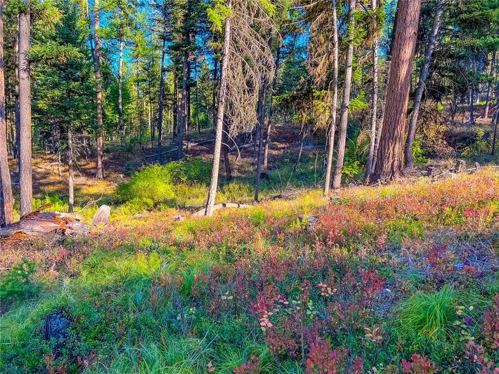 1026 Placid View Place Other MT 59868