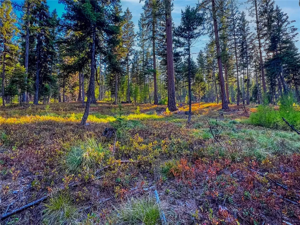 1026 Placid View Place Other MT 59868