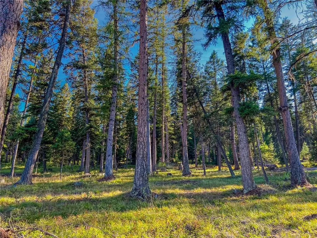 1026 Placid View Place Other MT 59868