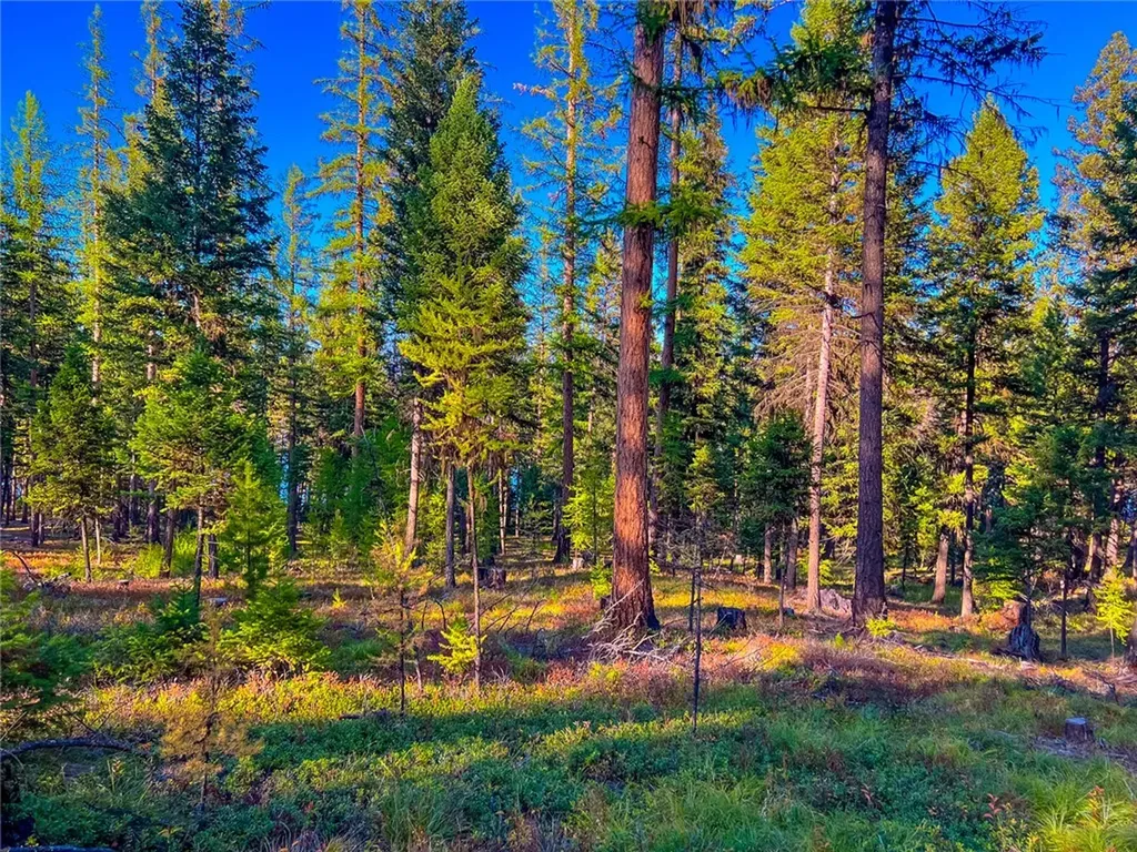 1026 Placid View Place Other MT 59868