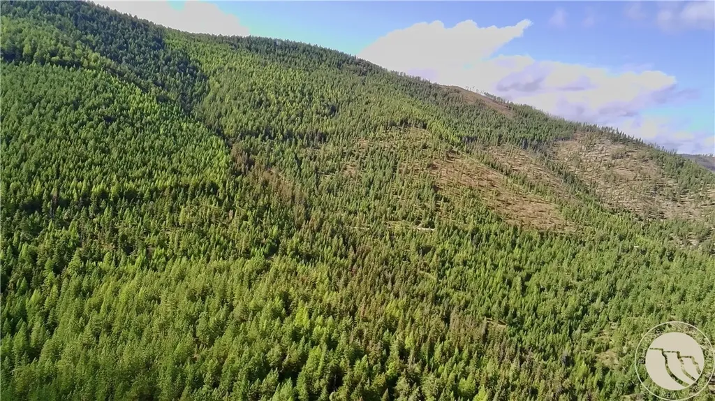 0 W Fork Combest Creek Road Other MT 59859