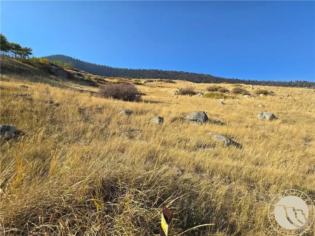 26 Elk Park Trail Nye MT 59061