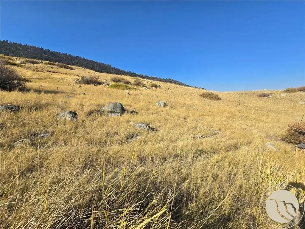 26 Elk Park Trail Nye MT 59061
