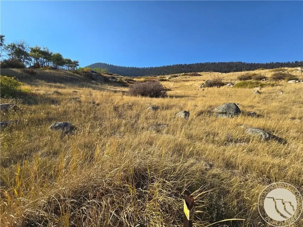 26 Elk Park Trail Nye MT 59061