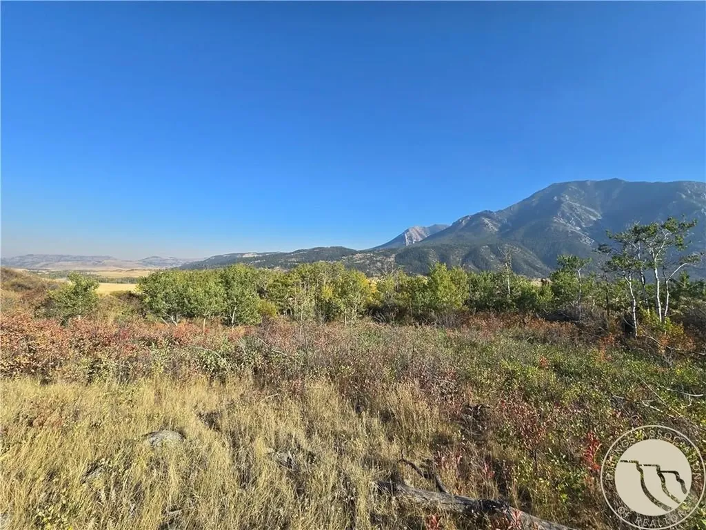 18 Elk Park Trail Nye MT 59061