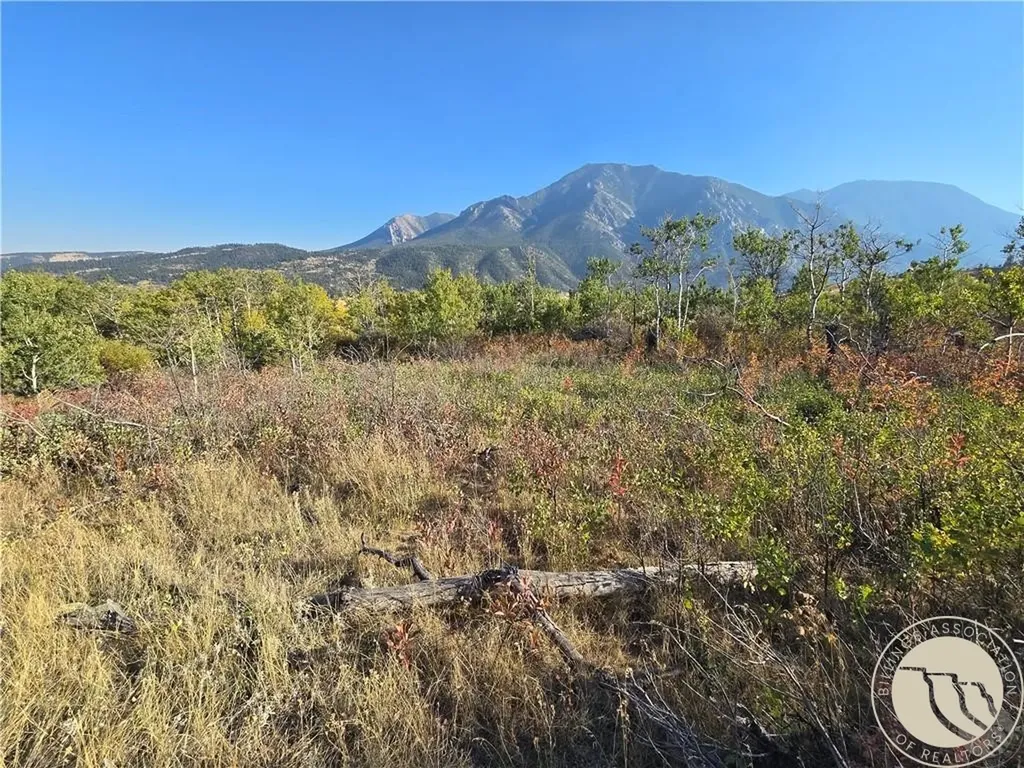18 Elk Park Trail Nye MT 59061