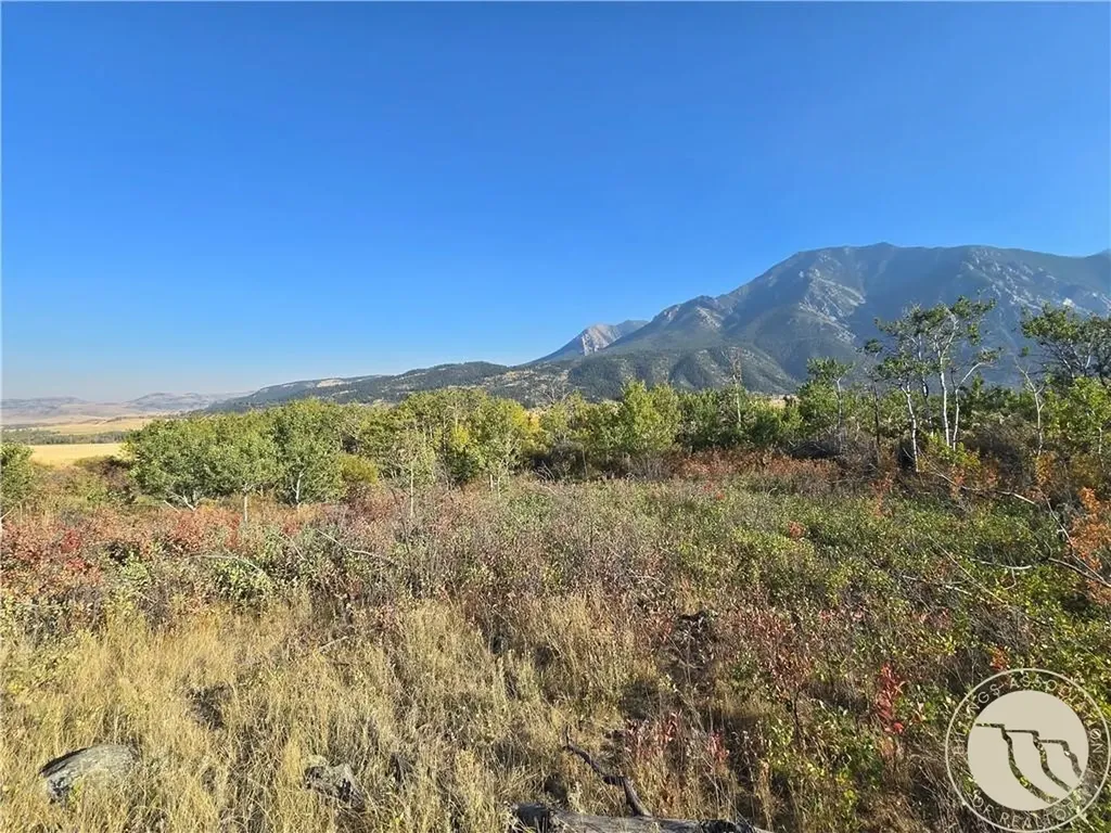 18 Elk Park Trail Nye MT 59061