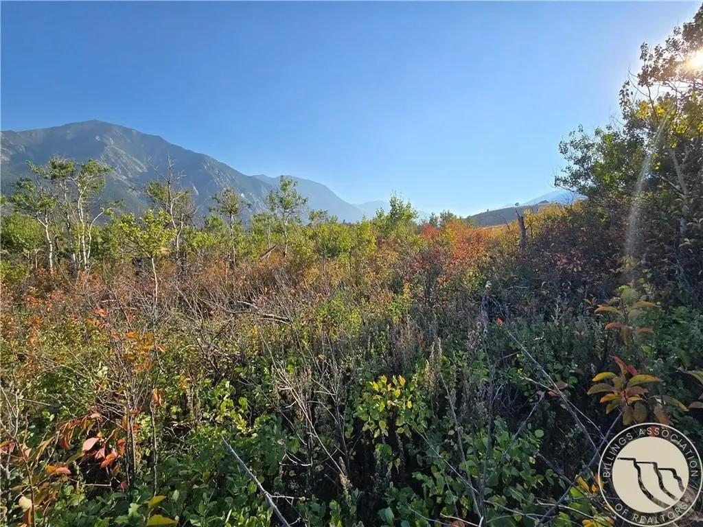 18 Elk Park Trail Nye MT 59061