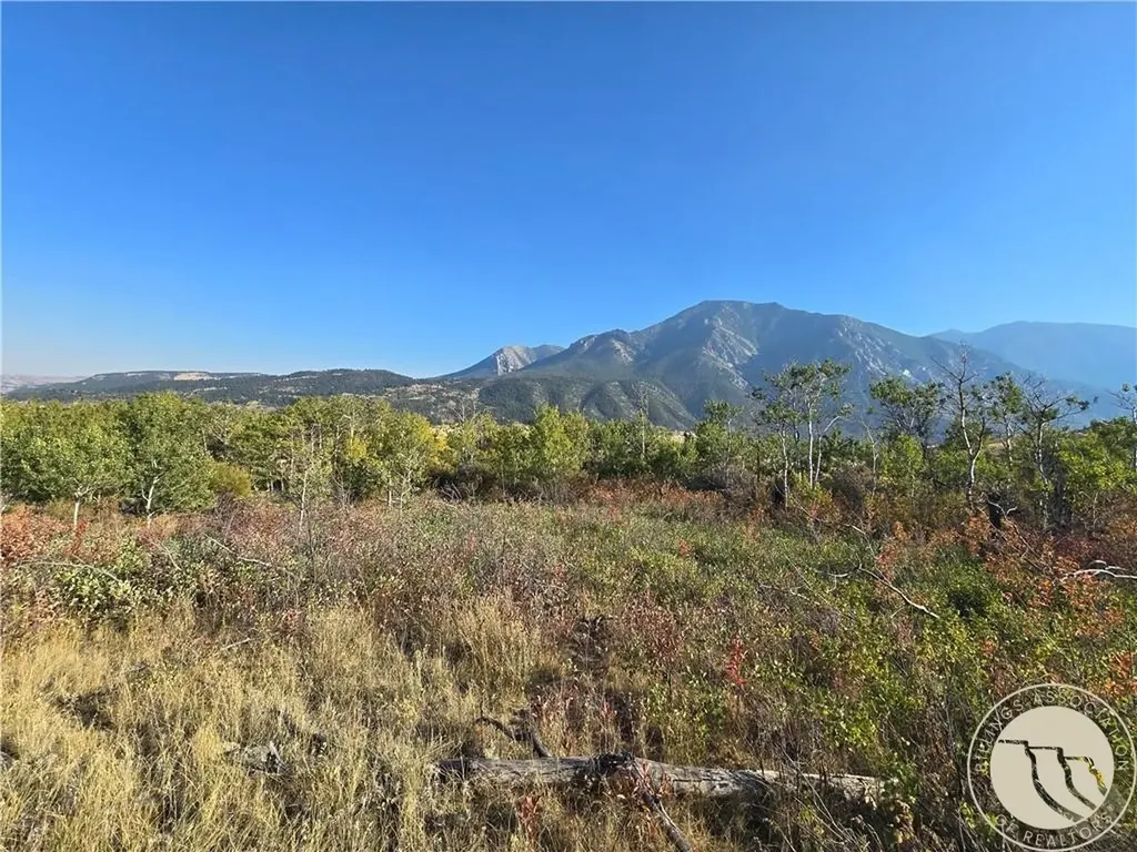 18 Elk Park Trail Nye MT 59061