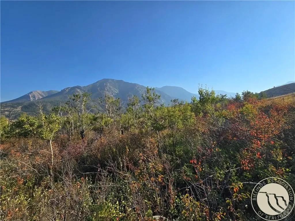 18 Elk Park Trail Nye MT 59061