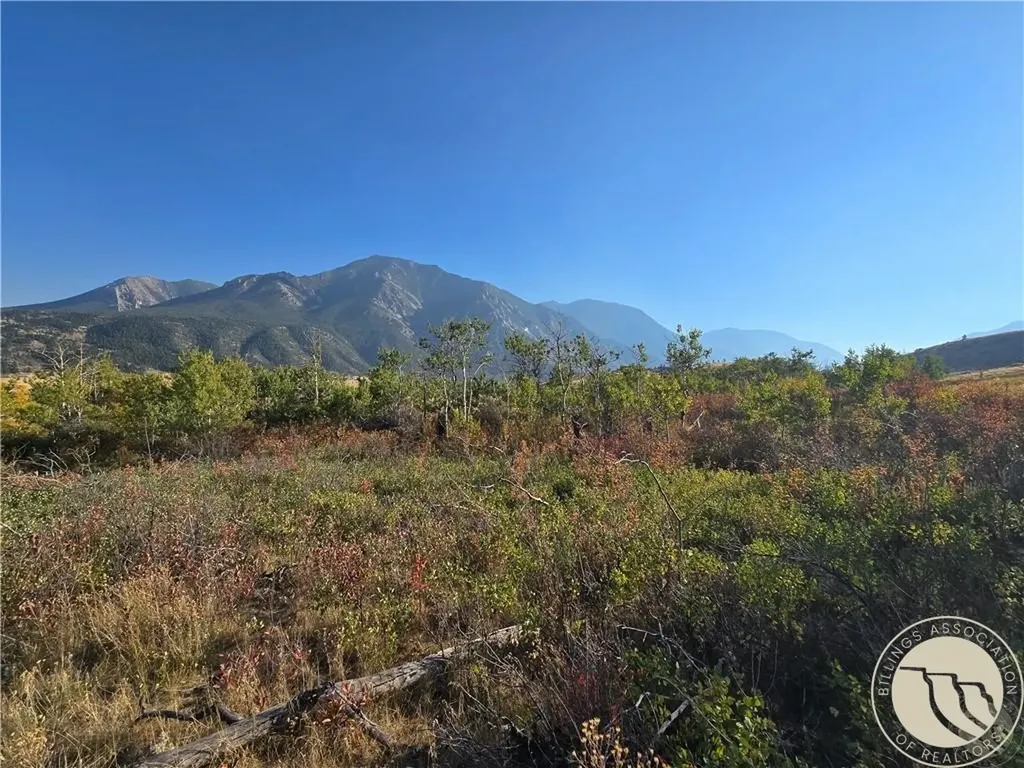 18 Elk Park Trail Nye MT 59061