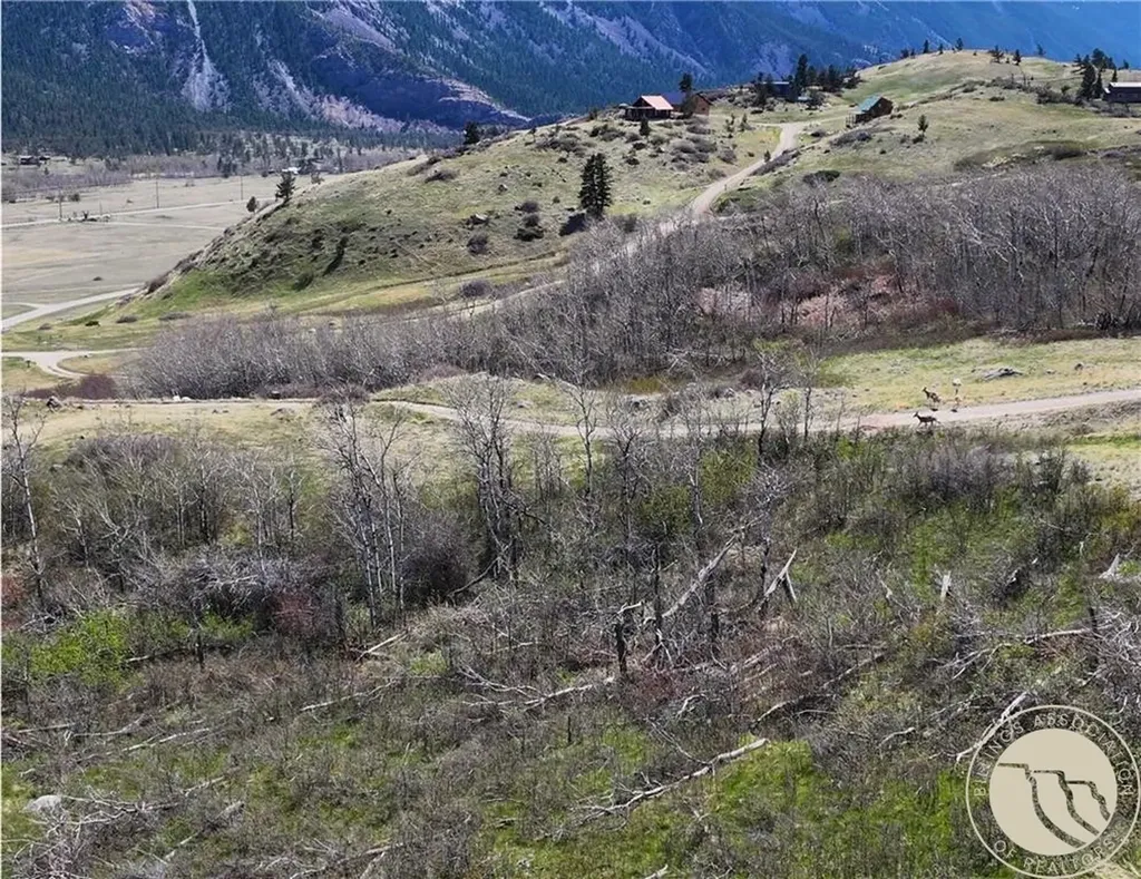 18 Elk Park Trail Nye MT 59061