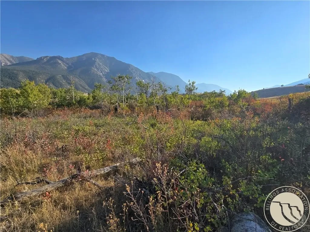 18 Elk Park Trail Nye MT 59061