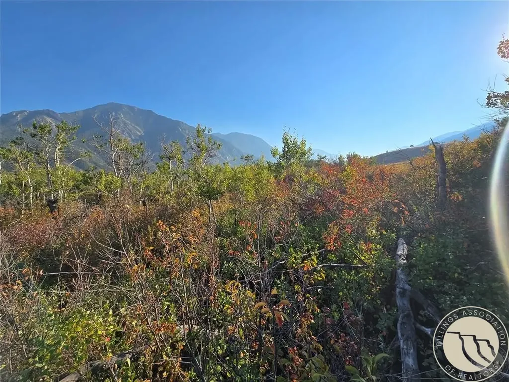 18 Elk Park Trail Nye MT 59061