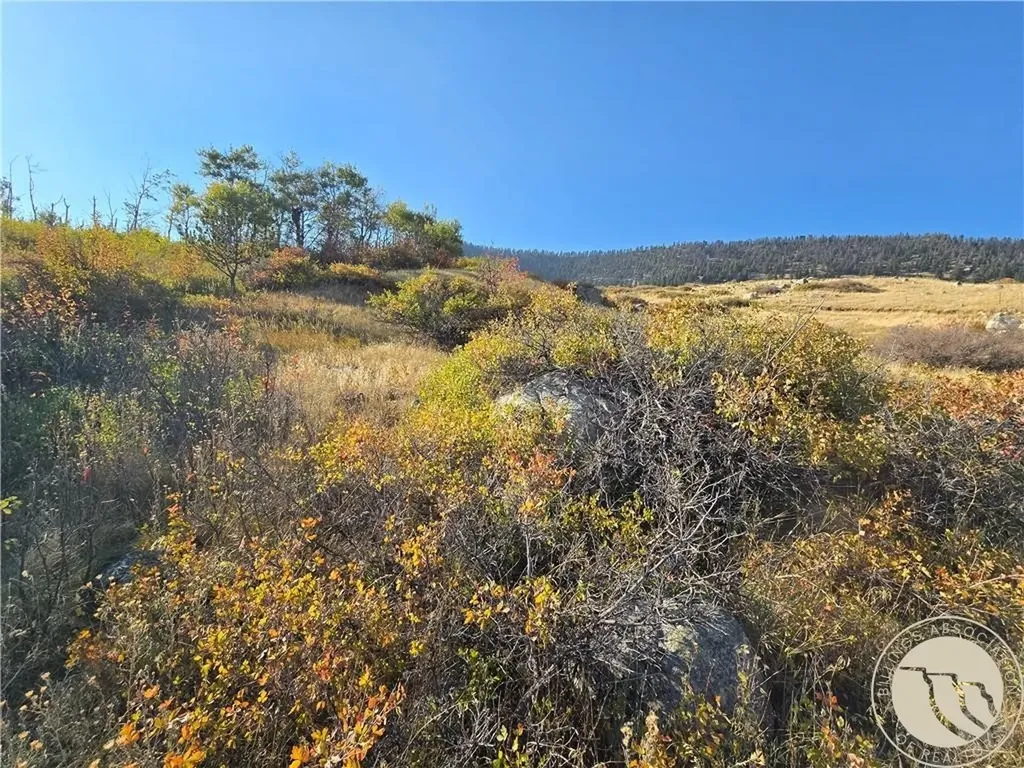 18 Elk Park Trail Nye MT 59061
