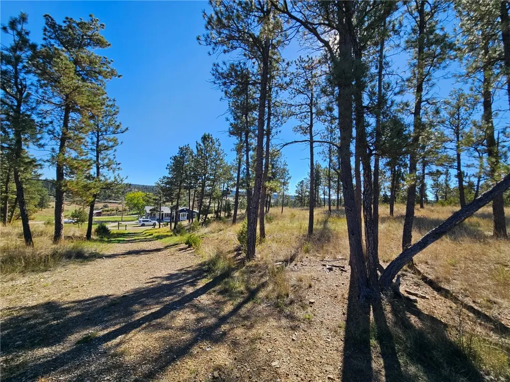 72 Pioneer Trail Lavina MT 59046