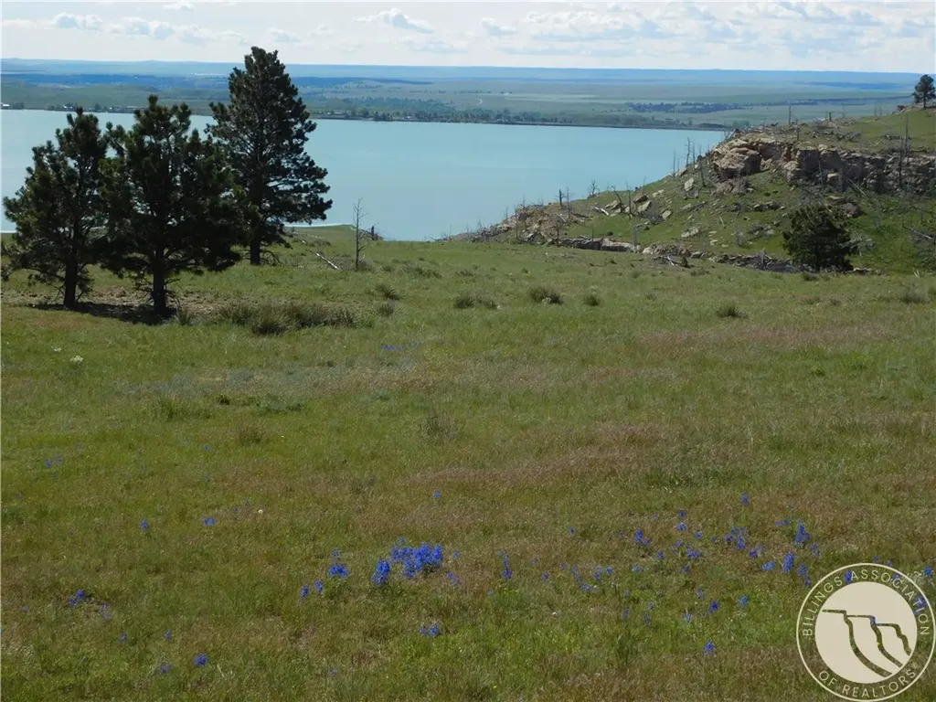Nhn Lookout Point Shawmut MT 59078