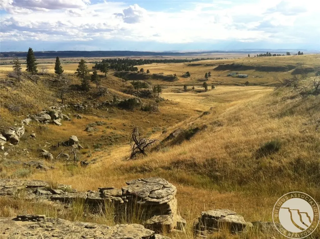 Nhn Lookout Point Shawmut MT 59078