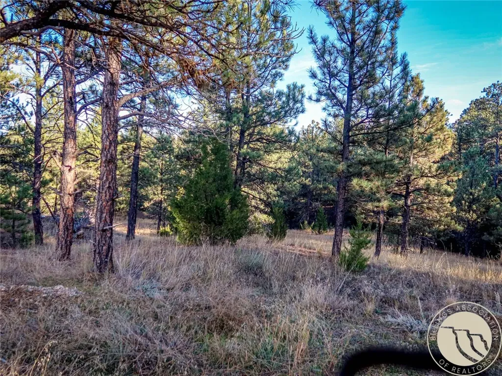 86 Winchester Mount Remington Trail Roundup MT 59072