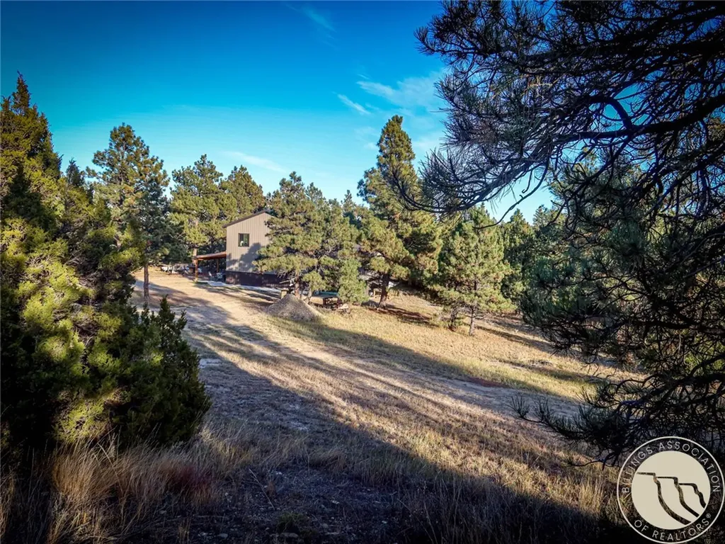 86 Winchester Mount Remington Trail Roundup MT 59072