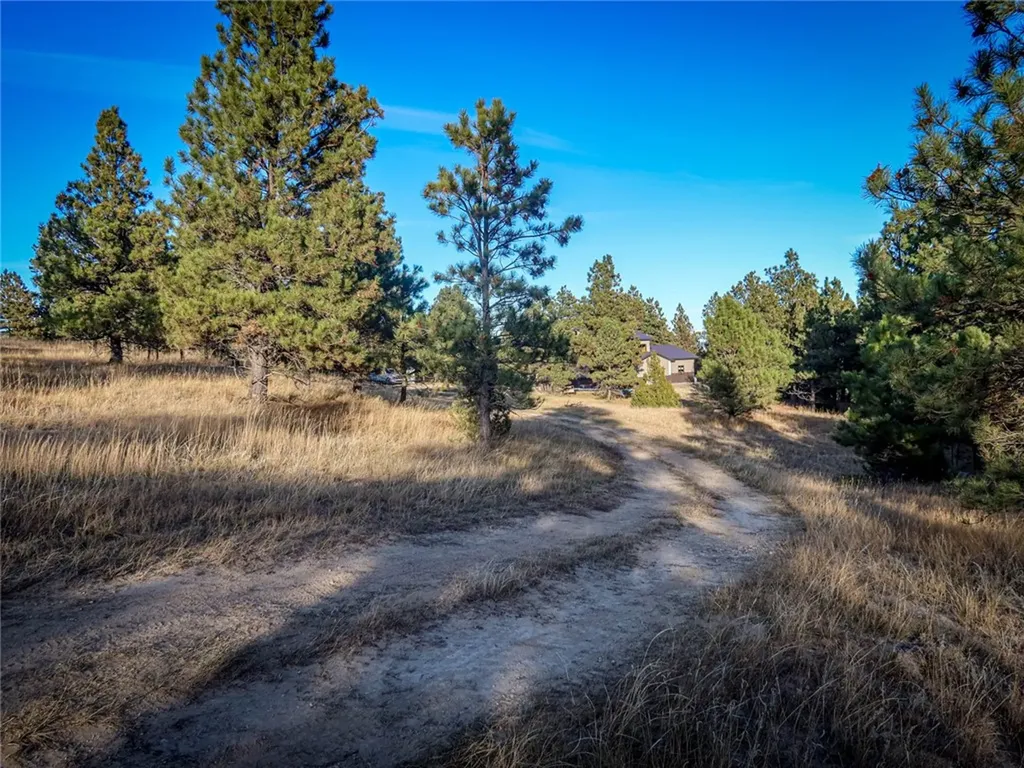 86 Winchester Mount Remington Trail Roundup MT 59072