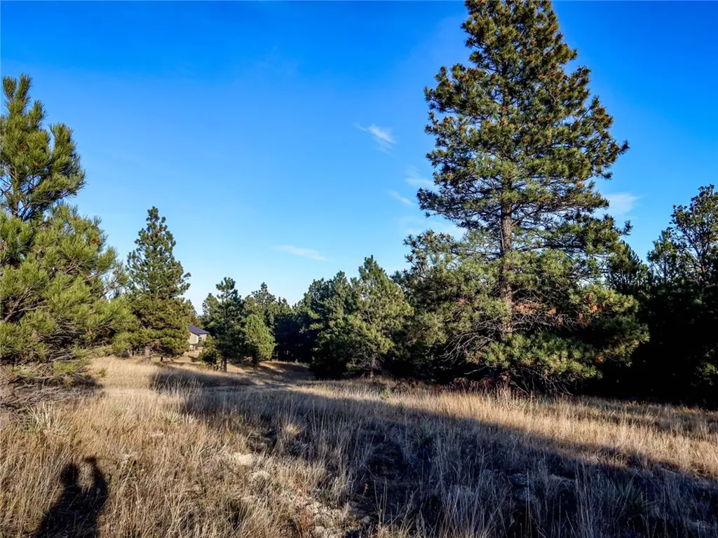 86 Winchester Mount Remington Trail Roundup MT 59072