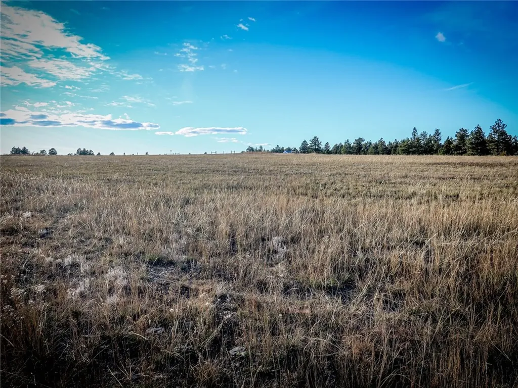 86 Winchester Mount Remington Trail Roundup MT 59072