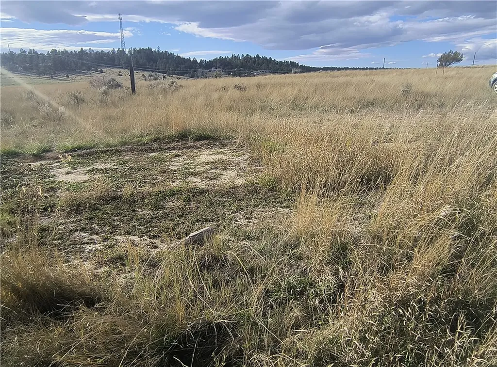 28 Lots 10th Avenue W Roundup MT 59072