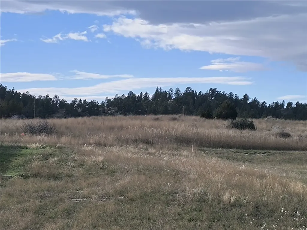 28 Lots 10th Avenue W Roundup MT 59072