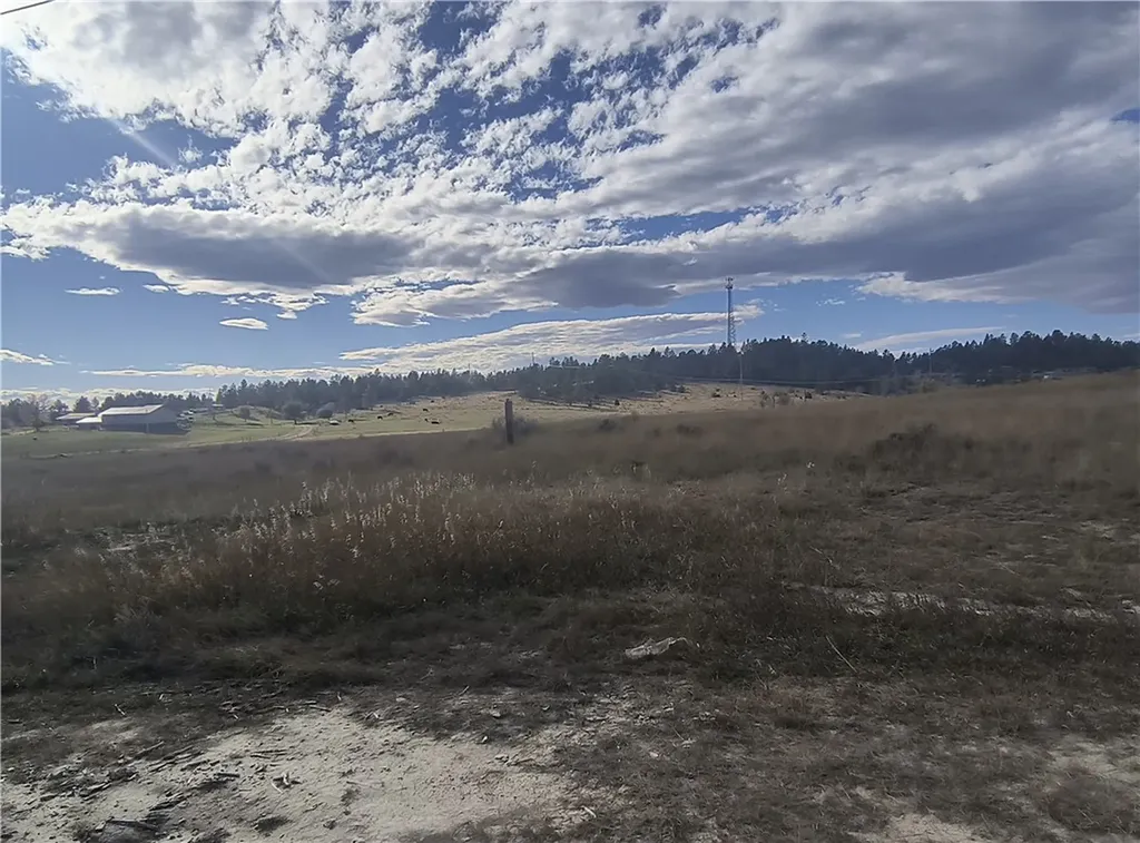 28 Lots 10th Avenue W Roundup MT 59072