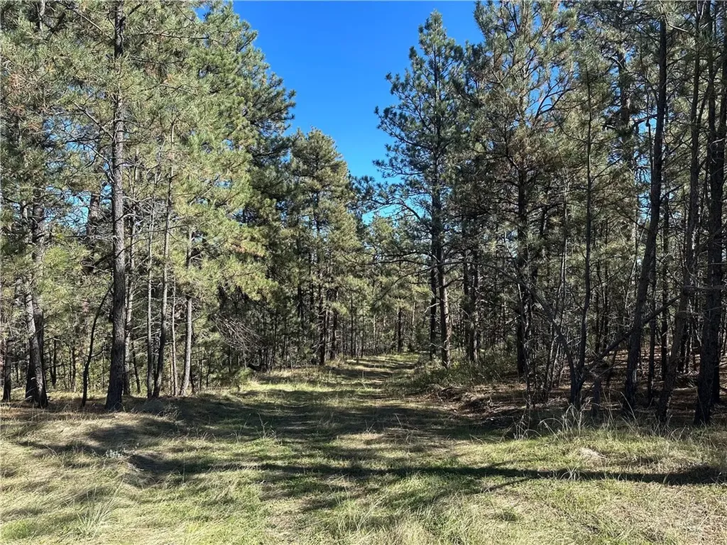 Tbd Smith Court Roundup MT 59072