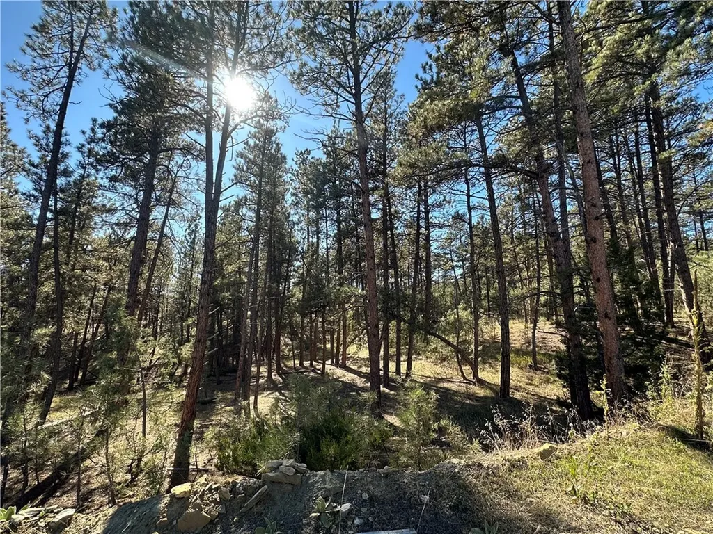 Tbd Smith Court Roundup MT 59072