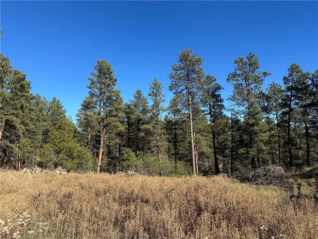 Tbd Smith Court Roundup MT 59072