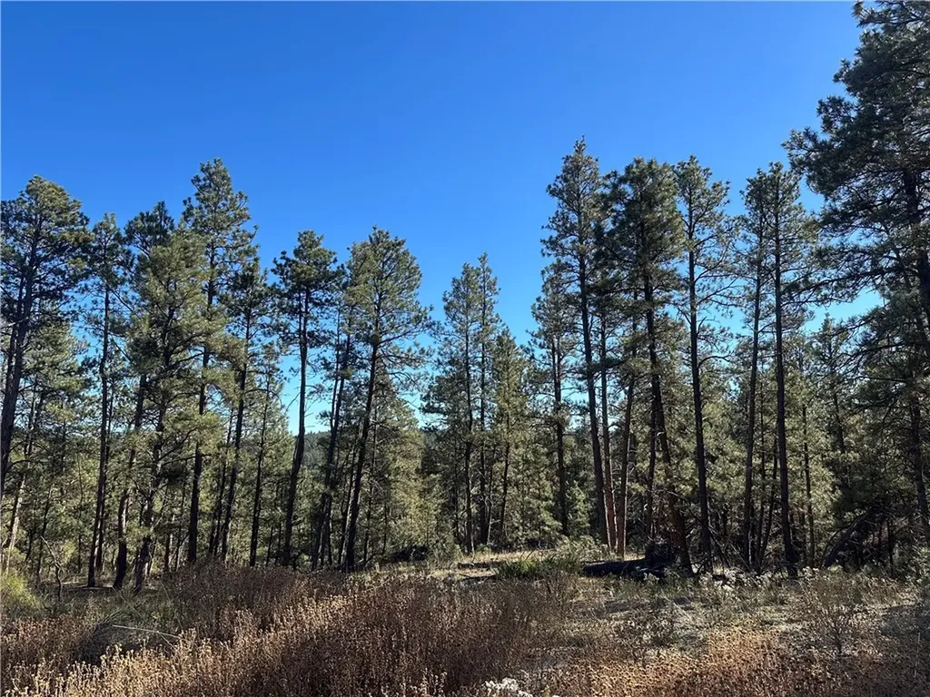 Tbd Smith Court Roundup MT 59072