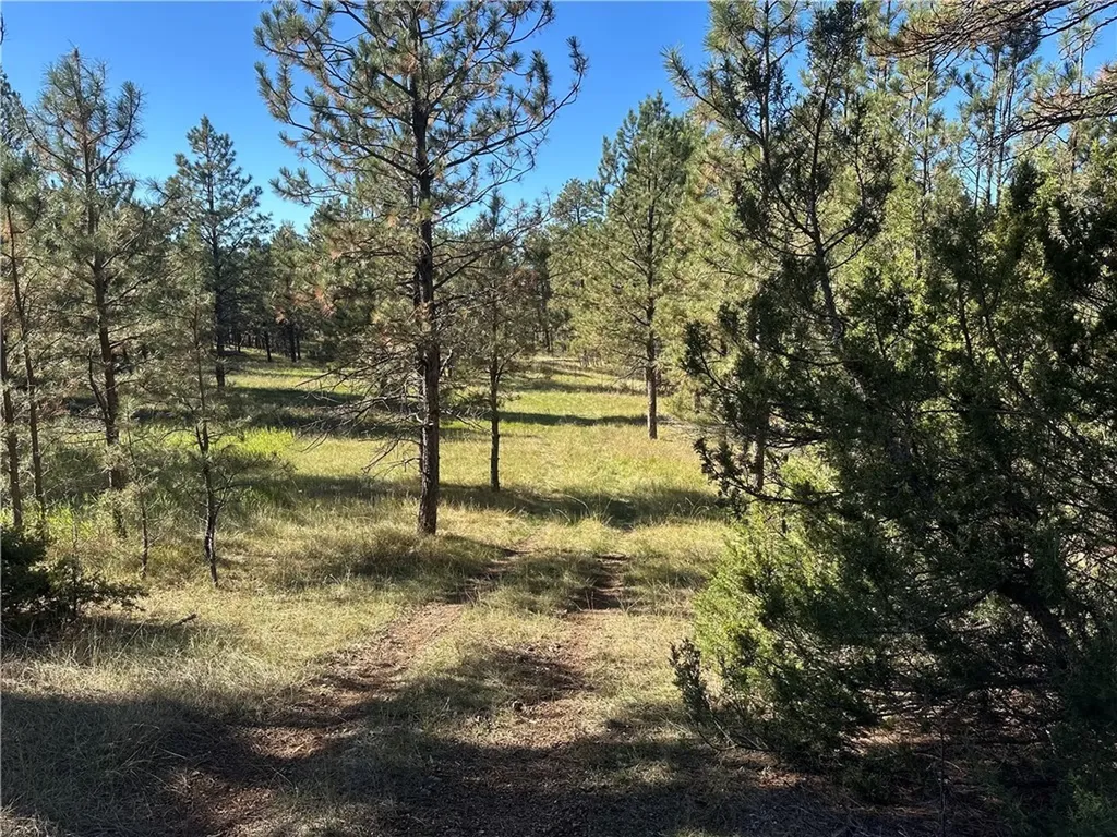 Tbd Smith Court Roundup MT 59072